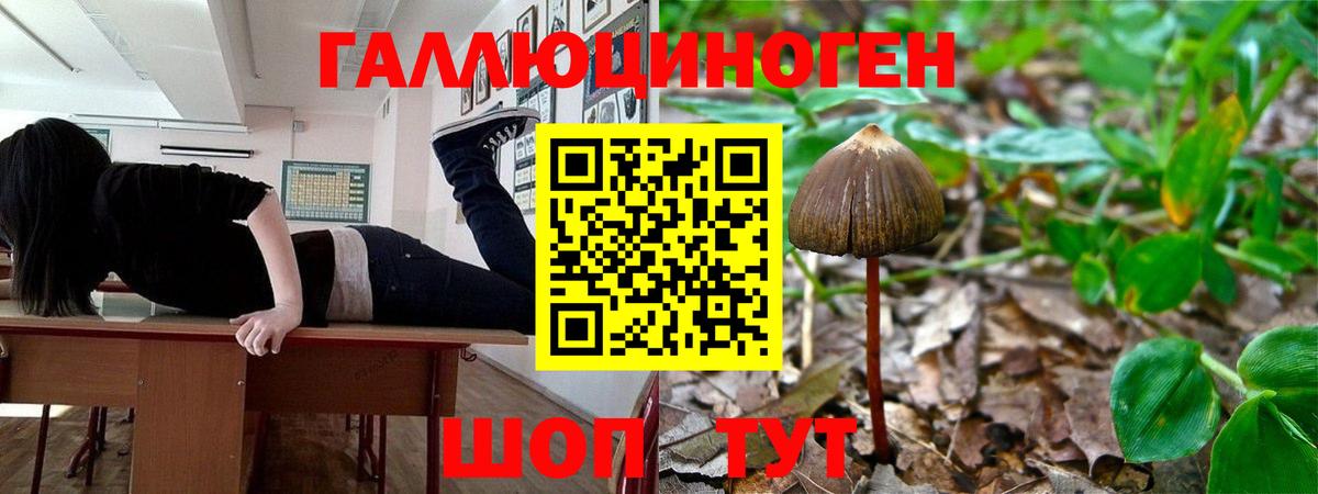Галлюциногенные грибы мицелий Сальск