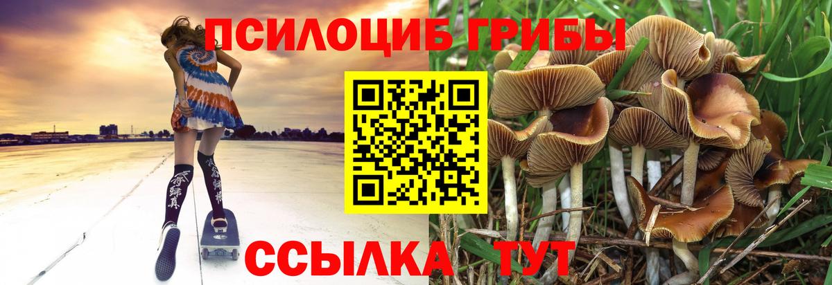 Галлюциногенные грибы GOLDEN TEACHER  Вход с VPN  Сальск 
